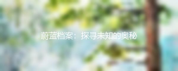 蔚蓝档案：探寻未知的奥秘