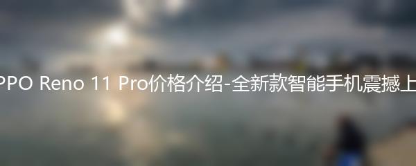 OPPO Reno 11 Pro价格介绍-全新款智能手机震撼上市