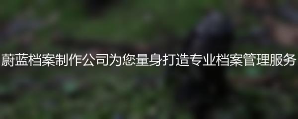 蔚蓝档案制作公司为您量身打造专业档案管理服务