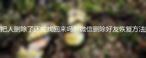 微信把人删除了还能找回来吗？微信删除好友恢复方法解析