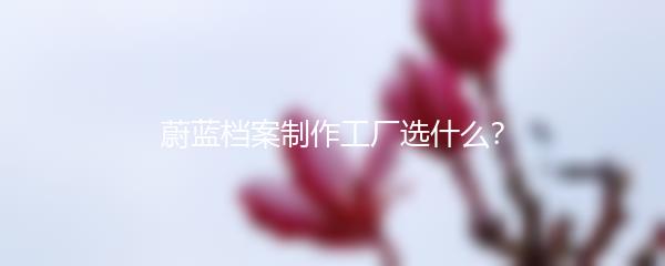 蔚蓝档案制作工厂选什么？