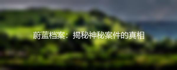 蔚蓝档案：揭秘神秘案件的真相