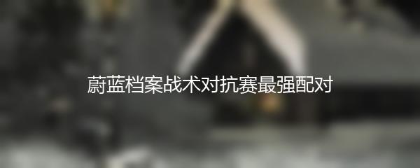 蔚蓝档案战术对抗赛最强配对