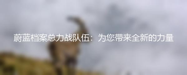 蔚蓝档案总力战队伍：为您带来全新的力量