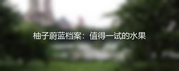 柚子蔚蓝档案：值得一试的水果