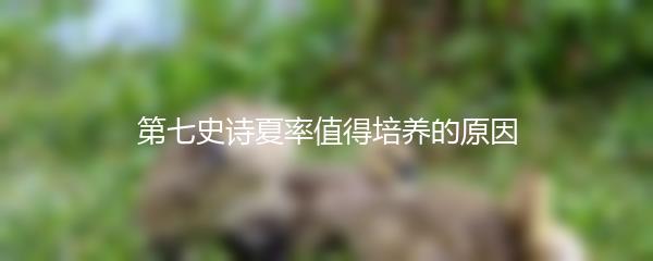 第七史诗夏率值得培养的原因