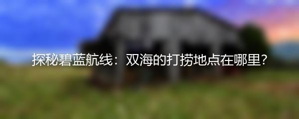 探秘碧蓝航线：双海的打捞地点在哪里？