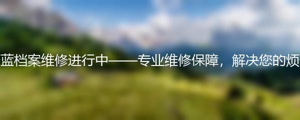 蔚蓝档案维修进行中——专业维修保障，解决您的烦恼