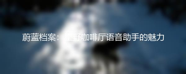 蔚蓝档案：星野咖啡厅语音助手的魅力