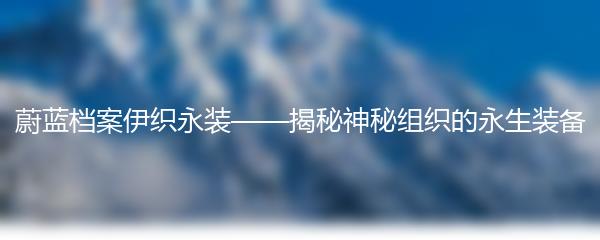 蔚蓝档案伊织永装——揭秘神秘组织的永生装备