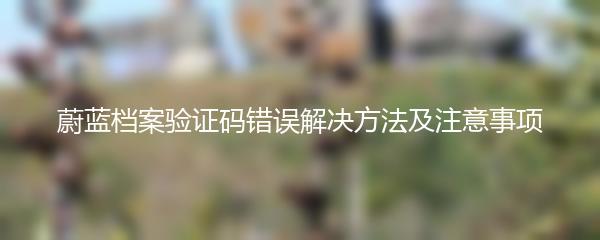 蔚蓝档案验证码错误解决方法及注意事项