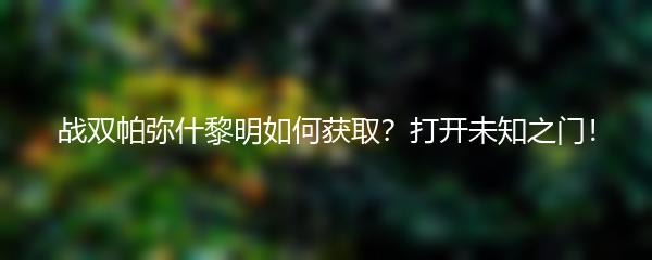 战双帕弥什黎明如何获取？打开未知之门！