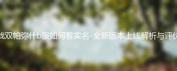 战双帕弥什b服如何看实名-全新版本上线解析与评价