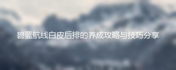 碧蓝航线白皮后排的养成攻略与技巧分享