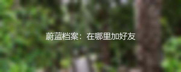 蔚蓝档案：在哪里加好友