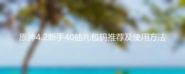 原神4.2新手40抽礼包码推荐及使用方法