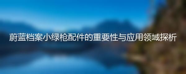 蔚蓝档案小绿枪配件的重要性与应用领域探析