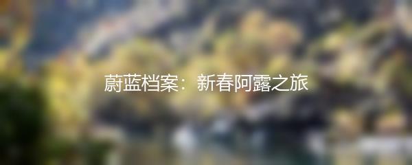 蔚蓝档案：新春阿露之旅