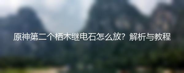 原神第二个栖木继电石怎么放？解析与教程