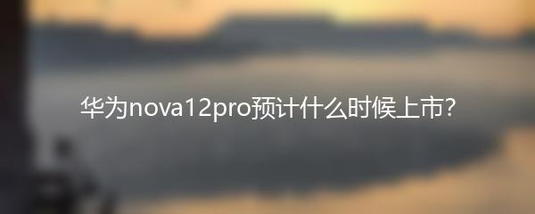 华为nova12pro预计什么时候上市？