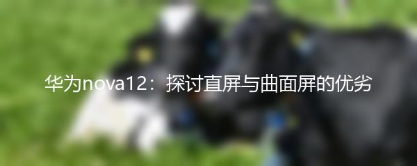 华为nova12：探讨直屏与曲面屏的优劣