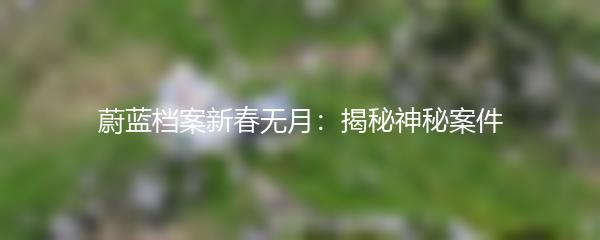 蔚蓝档案新春无月：揭秘神秘案件