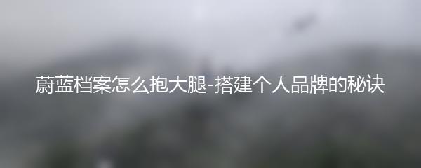 蔚蓝档案怎么抱大腿-搭建个人品牌的秘诀