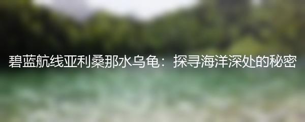 碧蓝航线亚利桑那水乌龟：探寻海洋深处的秘密