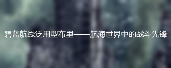 碧蓝航线泛用型布里——航海世界中的战斗先锋