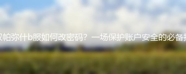 战双帕弥什b服如何改密码？一场保护账户安全的必备指南