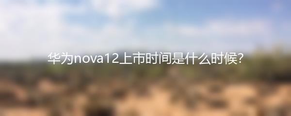 华为nova12上市时间是什么时候？