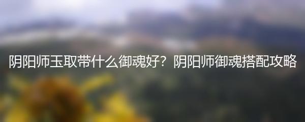 阴阳师玉取带什么御魂好？阴阳师御魂搭配攻略