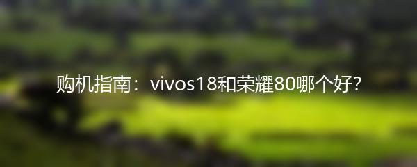 购机指南：vivos18和荣耀80哪个好？