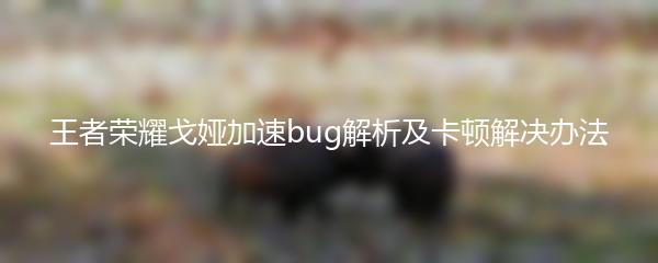 王者荣耀戈娅加速bug解析及卡顿解决办法