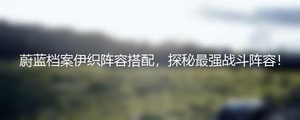 蔚蓝档案伊织阵容搭配，探秘最强战斗阵容！