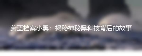 蔚蓝档案小黑：揭秘神秘黑科技背后的故事