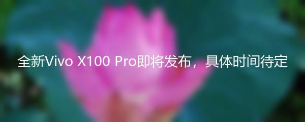 全新Vivo X100 Pro即将发布，具体时间待定