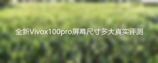 全新Vivox100pro屏幕尺寸多大真实评测