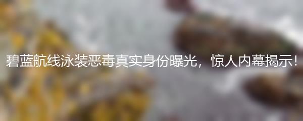 碧蓝航线泳装恶毒真实身份曝光，惊人内幕揭示！