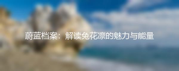 蔚蓝档案：解读兔花凛的魅力与能量