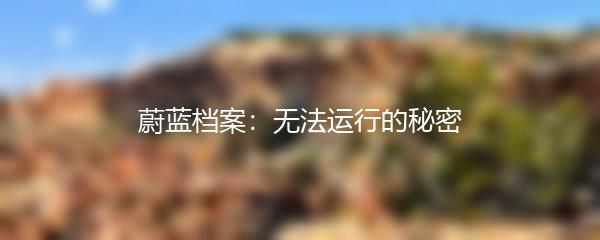 蔚蓝档案：无法运行的秘密