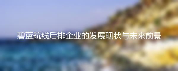 碧蓝航线后排企业的发展现状与未来前景