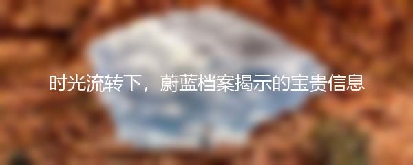 时光流转下，蔚蓝档案揭示的宝贵信息