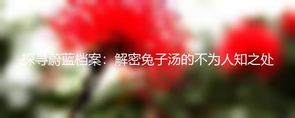 探寻蔚蓝档案：解密兔子汤的不为人知之处