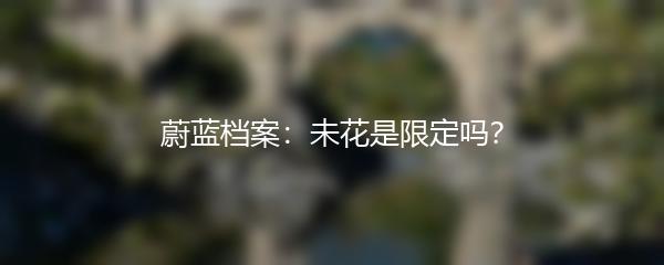 蔚蓝档案：未花是限定吗？