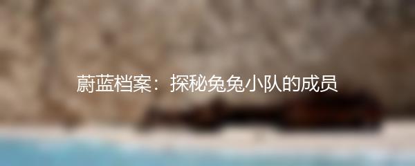 蔚蓝档案：探秘兔兔小队的成员