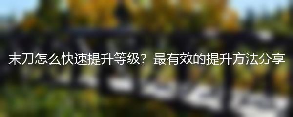 末刀怎么快速提升等级？最有效的提升方法分享