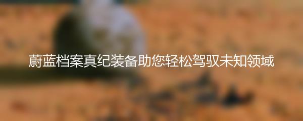 蔚蓝档案真纪装备助您轻松驾驭未知领域