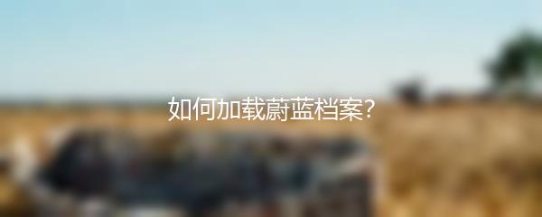 如何加载蔚蓝档案？