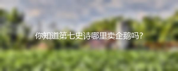 你知道第七史诗哪里卖企鹅吗？